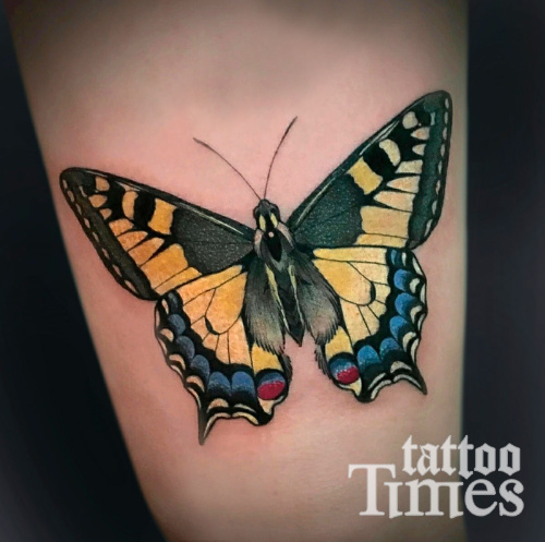 Тату бабочка махаон