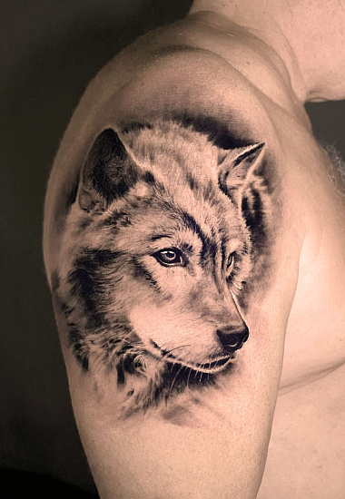 Татуировка морда волка на плече