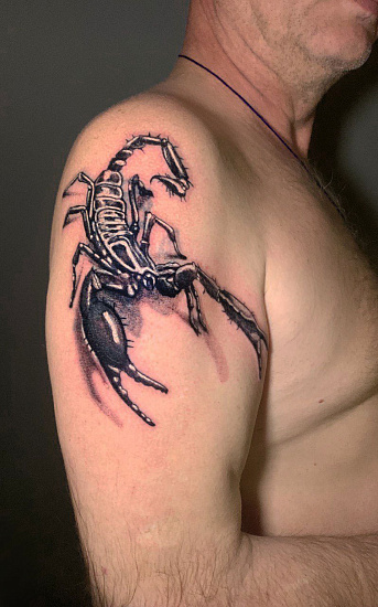 Татуировка скорпиона на плече